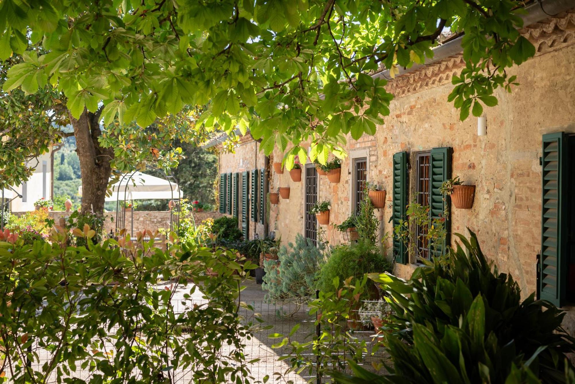 Agriturismo Bio Fattoria Bacio 切塔尔多 外观 照片