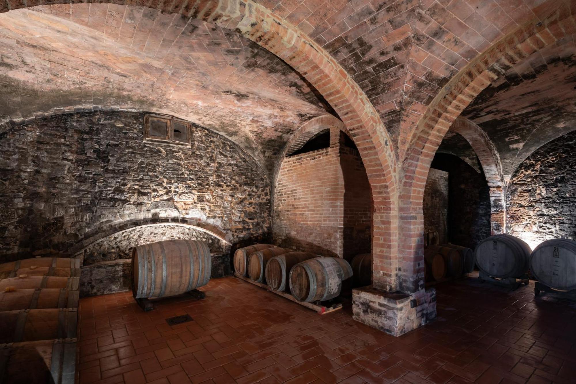 Agriturismo Bio Fattoria Bacio 切塔尔多 外观 照片